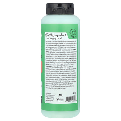 Sauce Beauty, Intense Repair Shampoo, Chimichurri Mint Tingle , 10 fl oz (300 ml)