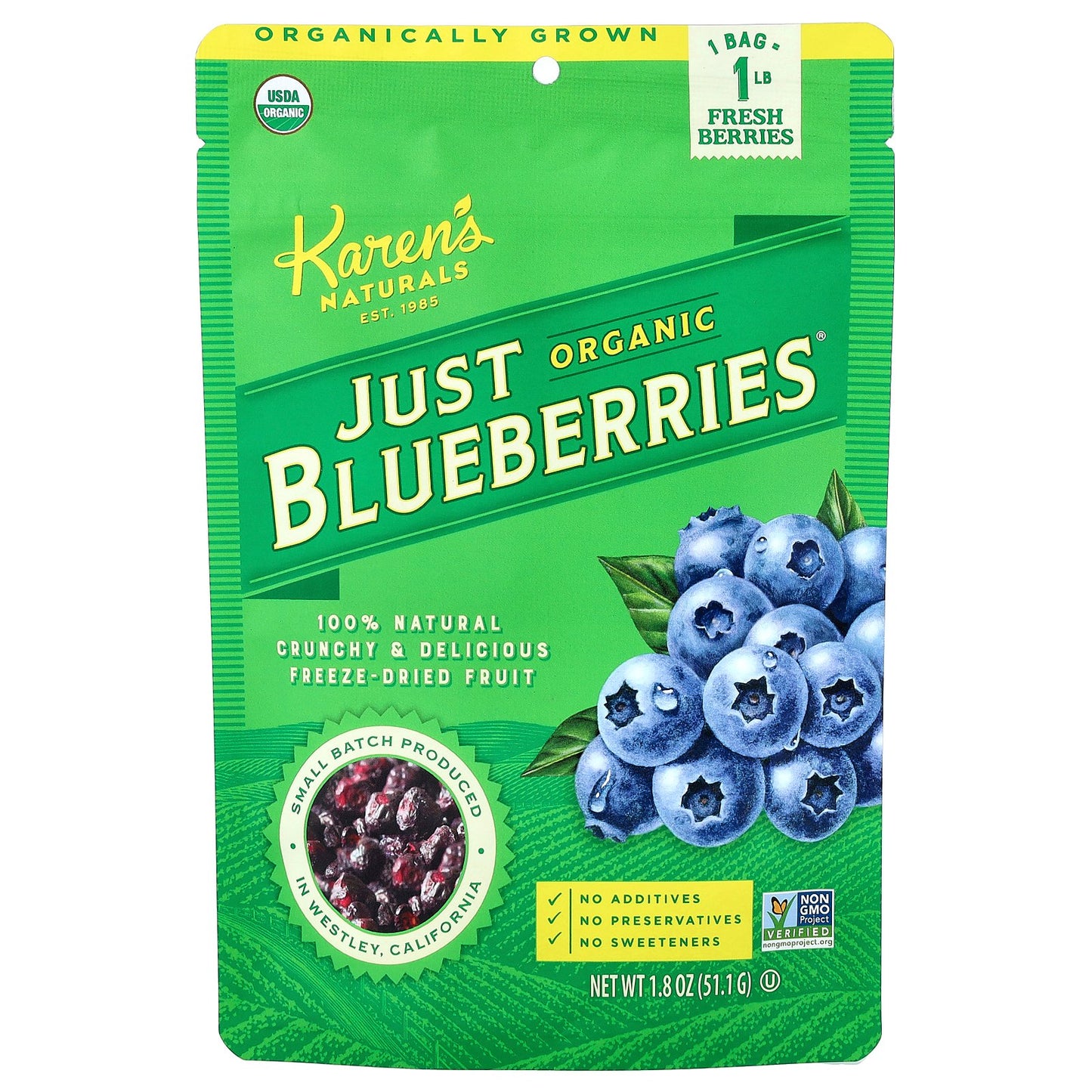 Karen's Naturals, Organic Just Blueberries®, 1.8 oz (51.1 g)