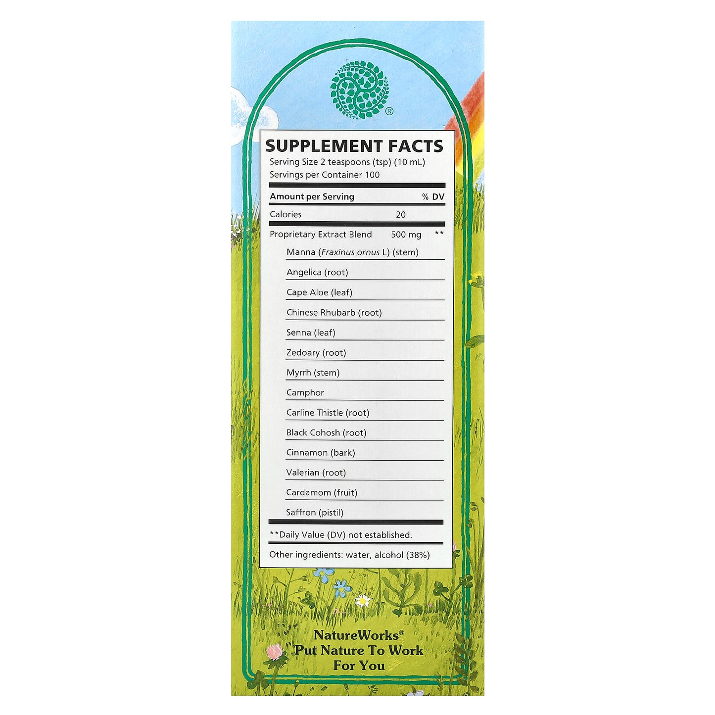 Nature's Way, NatureWorks, Swedish Bitters, 33.8 fl oz (1,000 ml)