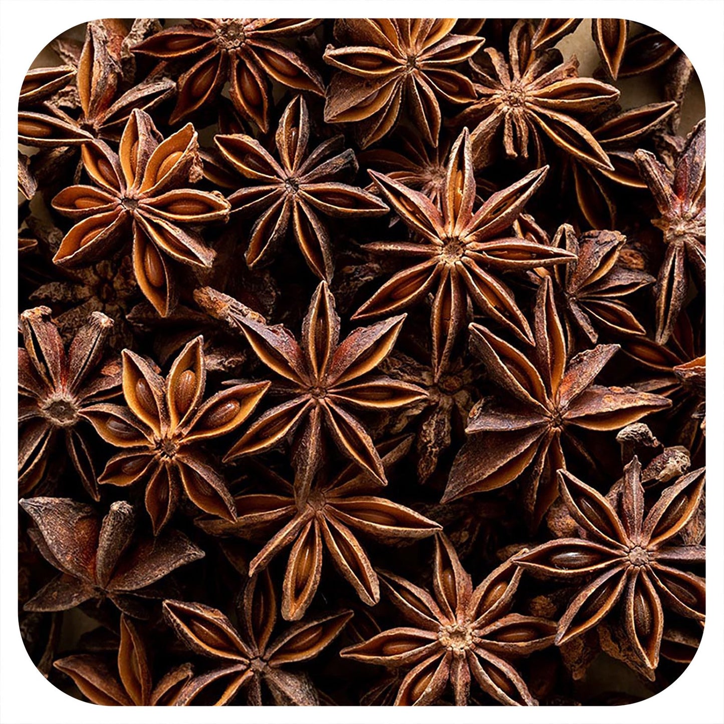 Frontier Co-op, Organic Whole Star Anise Select, 16 oz (453 g)