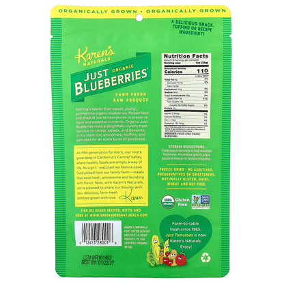Karen's Naturals, Organic Just Blueberries®, 1.8 oz (51.1 g)