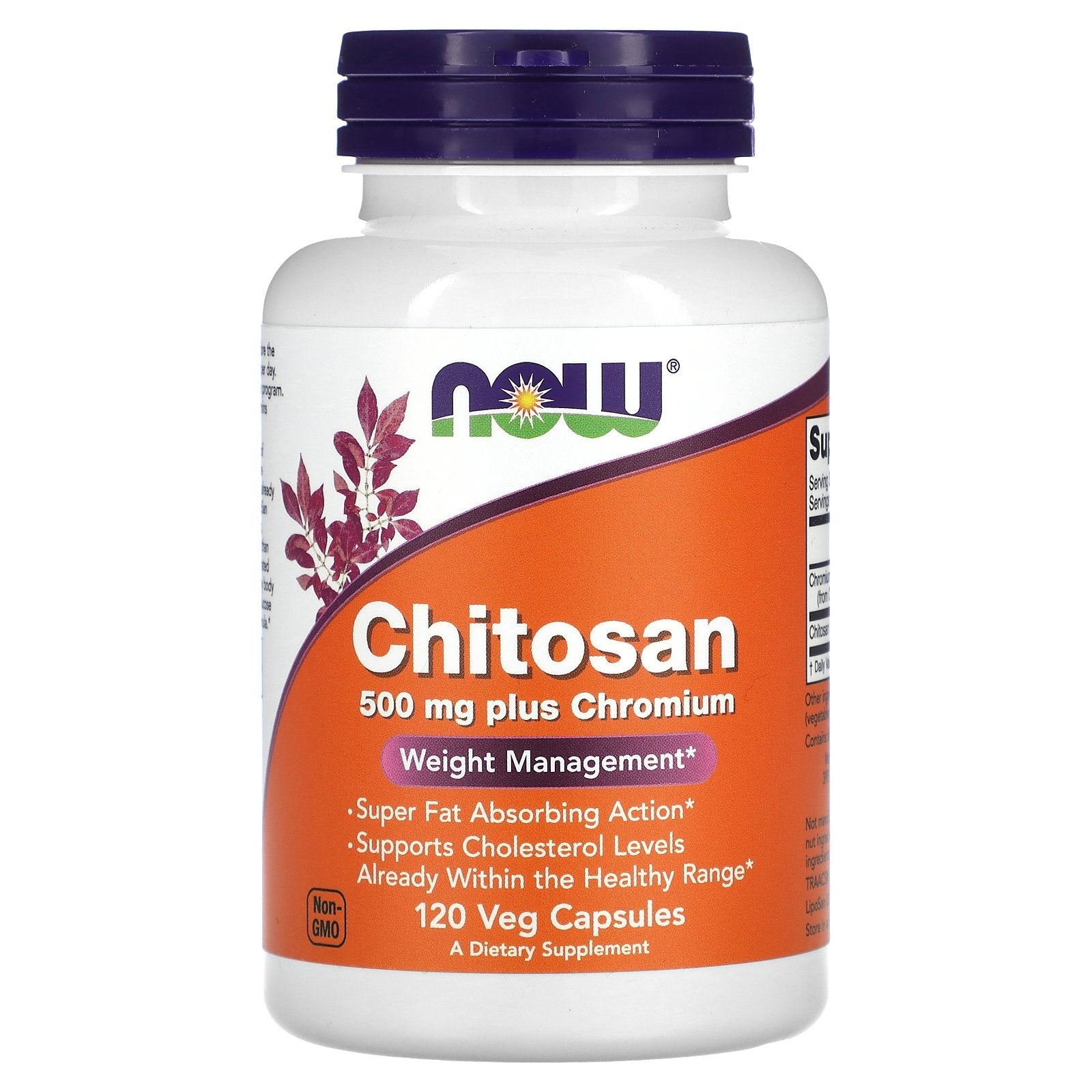 NOW Foods, Chitosan plus Chromium, 120 Capsules