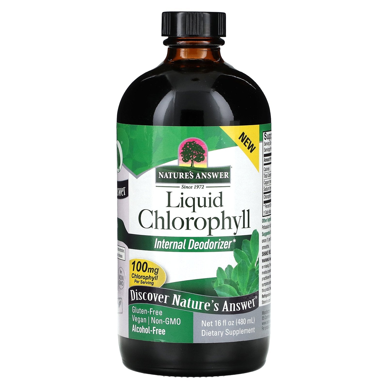 Nature's Answer, Liquid Chlorophyll, 100 mg, 16 fl oz (480 ml)