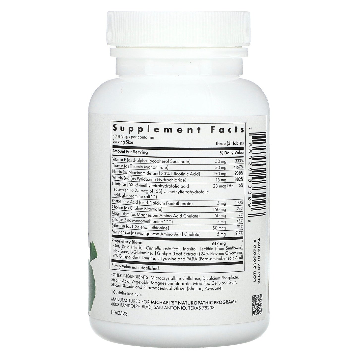 Michael's Health, Memory Factors, 90 Vegetarian Tablets