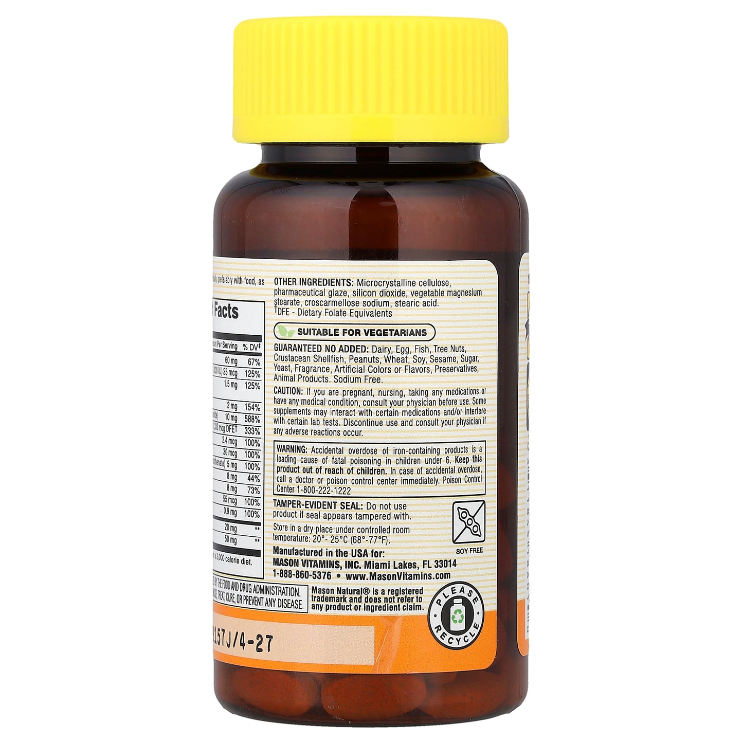 Mason Natural, Renal Multivitamin, 100 Caplets