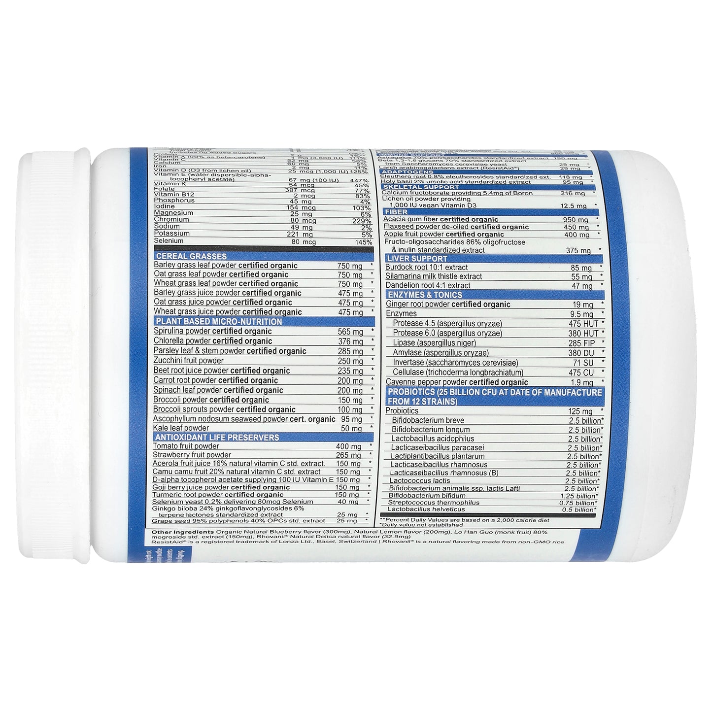 Vibrant Health, Green Vibrance® +25 Billion Probiotics, Version 21.0, Blueberry Lemon, 10.3 oz (292 g)