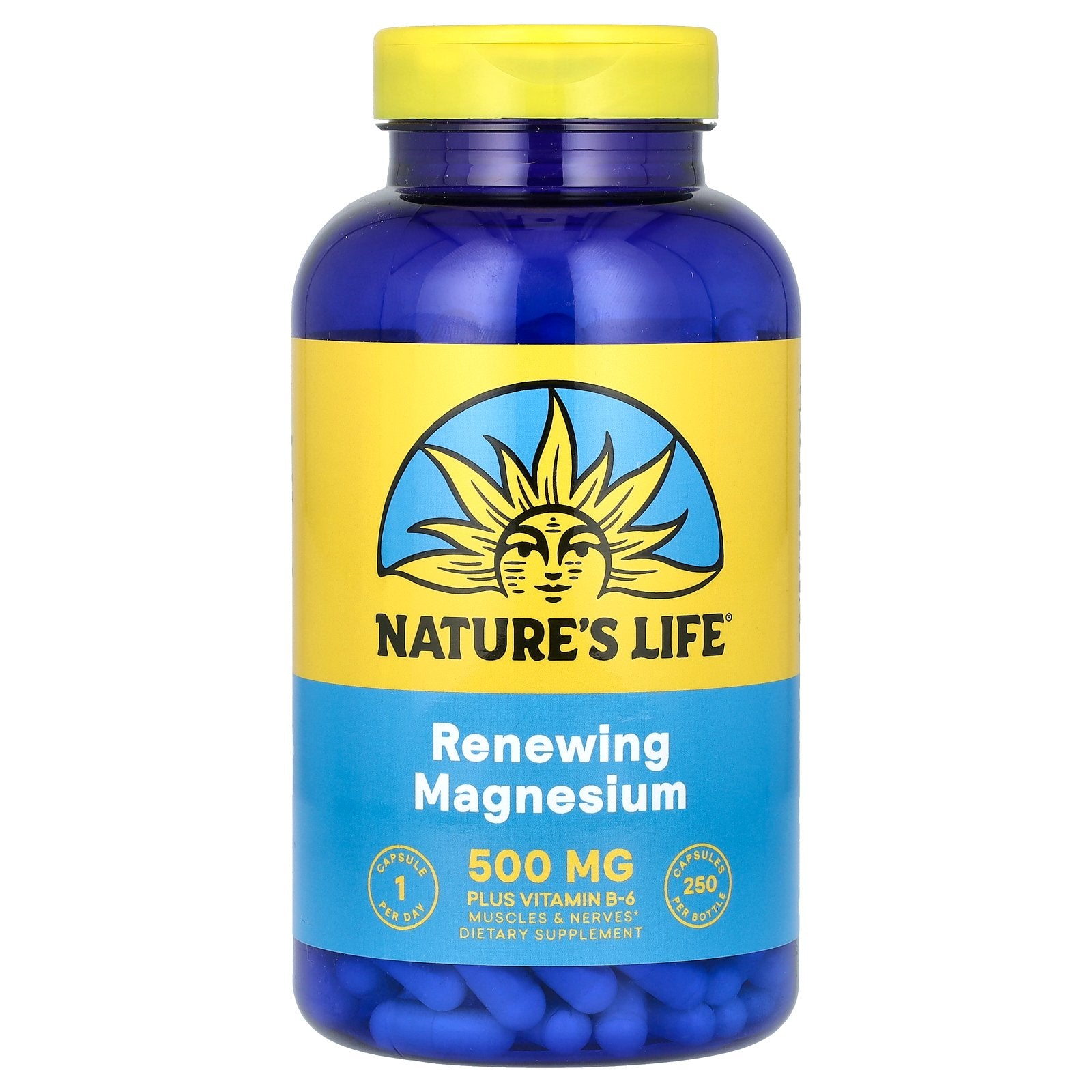 Nature's Life, Renewing Magnesium, 500 mg, 250 Capsules