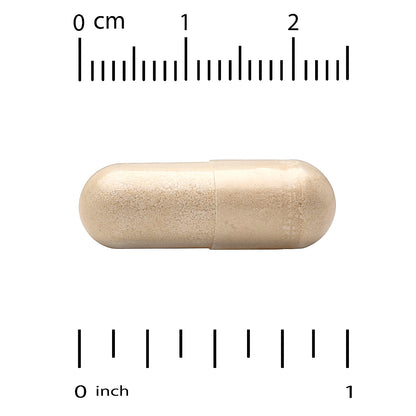 Super Nutrition, Organic Maitake Mushroom + Ginger, 60 Veggie Capsules