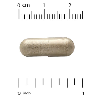 Super Nutrition, Organic Cordyceps Mushroom + Ginger, 60 Veggie Capsules