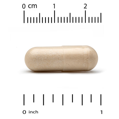 Super Nutrition, Ginkgo PS Phytosome with Ginkgo Extract, 480 mg, 60 Veggie Capsules