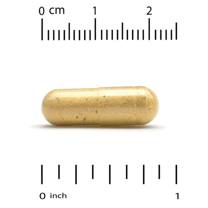 Super Nutrition, Akkermansia 30B PLUS with Berberine Phospholipid Matrix, and OEA, 60  Veggie Capsules