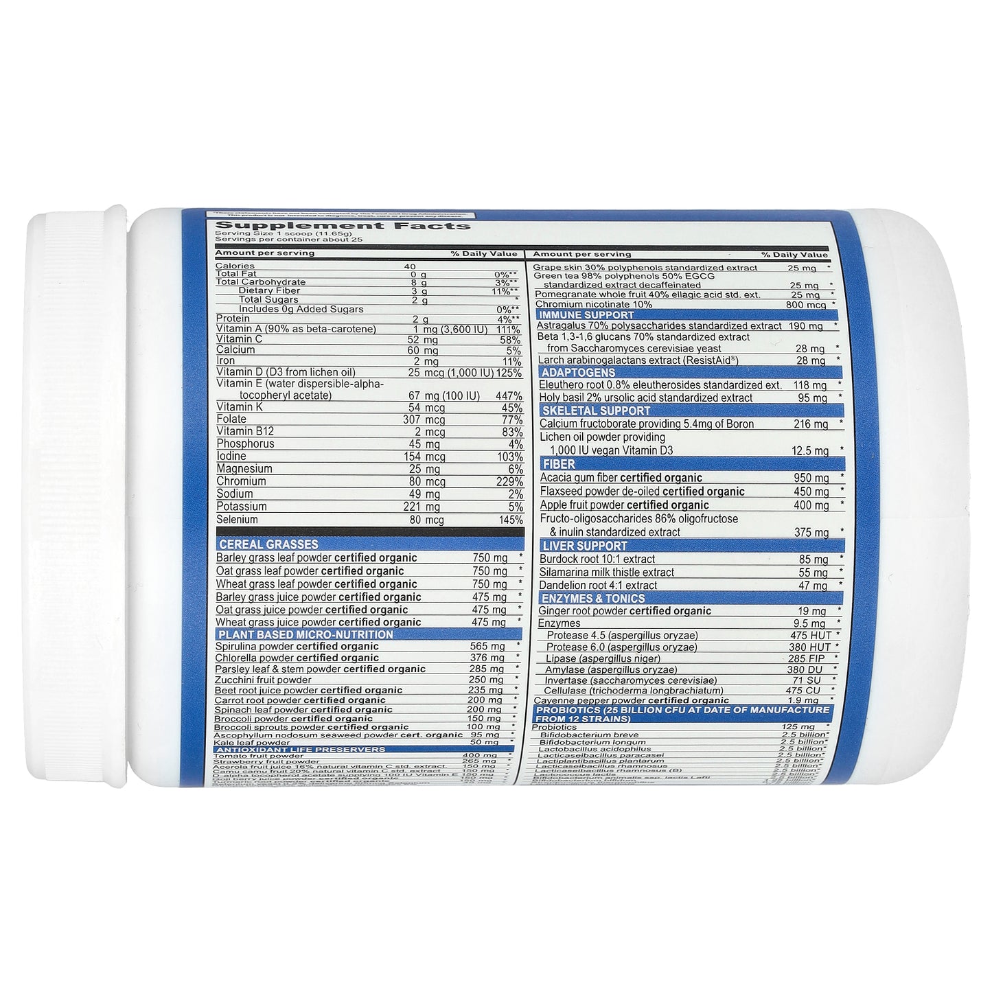 Vibrant Health, Green Vibrance, Version 21.0, Blueberry Lemon, 10.3 oz (292 g)