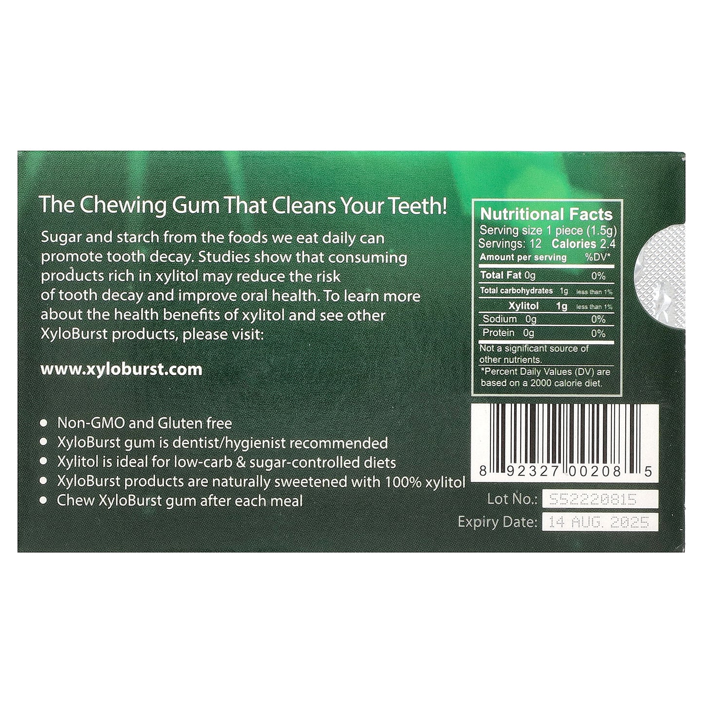 Xyloburst, Xylitol Gum, Spearmint, 12 Pieces