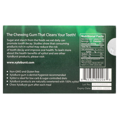 Xyloburst, Xylitol Gum, Spearmint, 12 Pieces