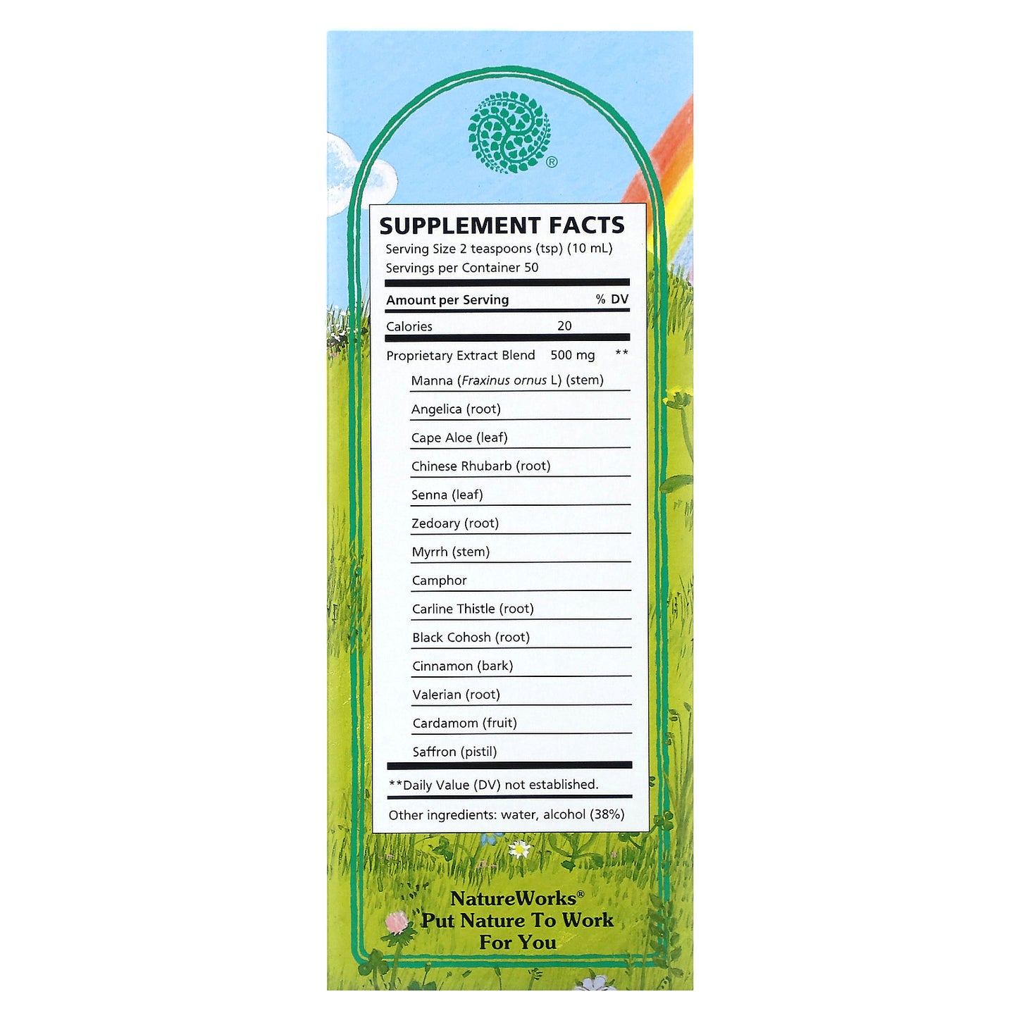 Nature's Way, NatureWorks, Swedish Bitters, 16.9 fl oz (500 ml)