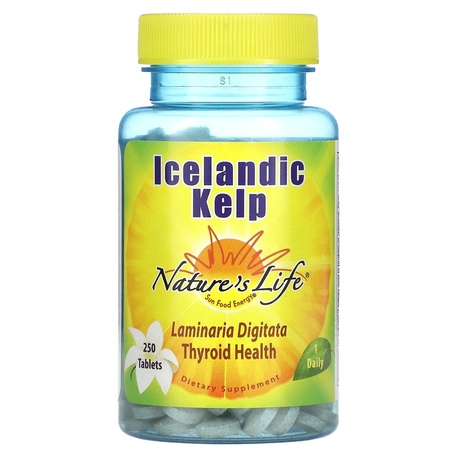 Nature's Life, Icelandic Kelp, 250 Tablets