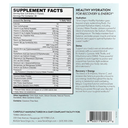 Terra Origin, Healthy Hydration+, Lemonade, 30 On The Go Packets, 0.20 oz (5.8 g) Each