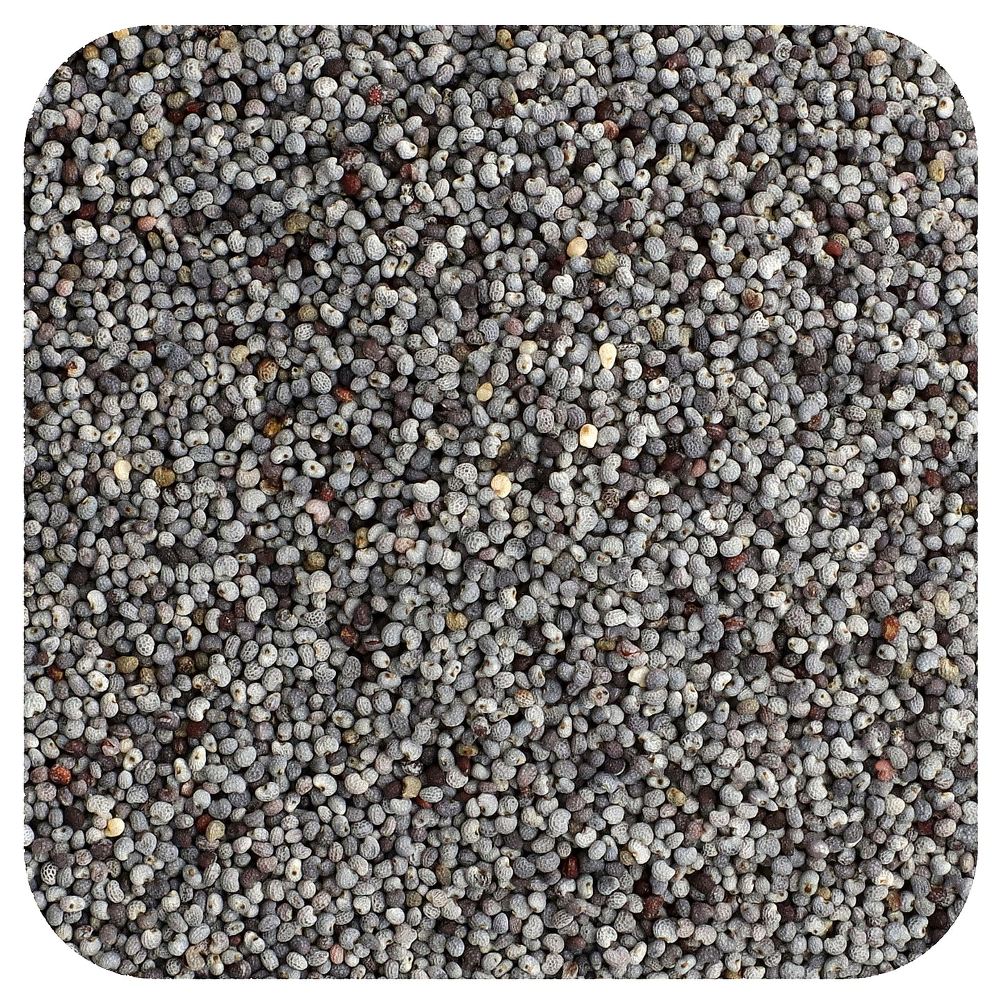 Frontier Co-op, Organic Poppy Seed, Whole, 16 oz (453 g)
