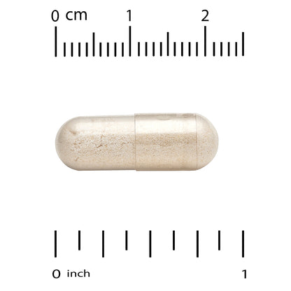 California Gold Nutrition, LactoBif® 100 Probiotics, 100 Billion CFU, 60 Veggie Capsules