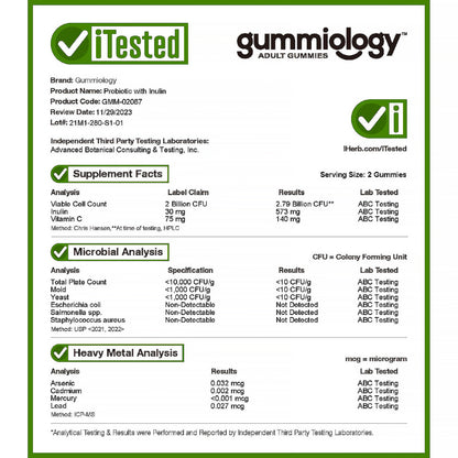 Gummiology, Probiotic with Inulin Gummies, Mixed Berry, 90 Vegetarian Gummies