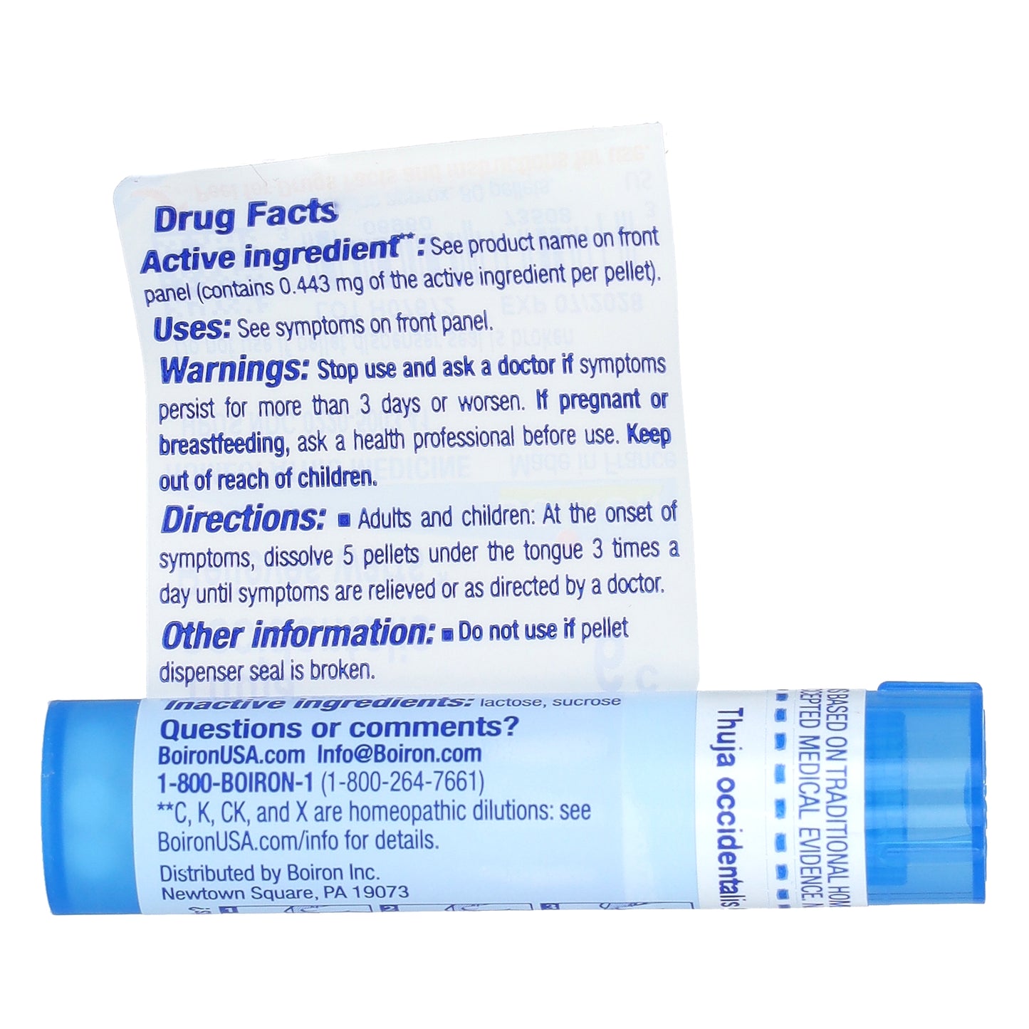 Boiron, Thuja Occidentalis 6C, Wart Relief, 80 Pellets