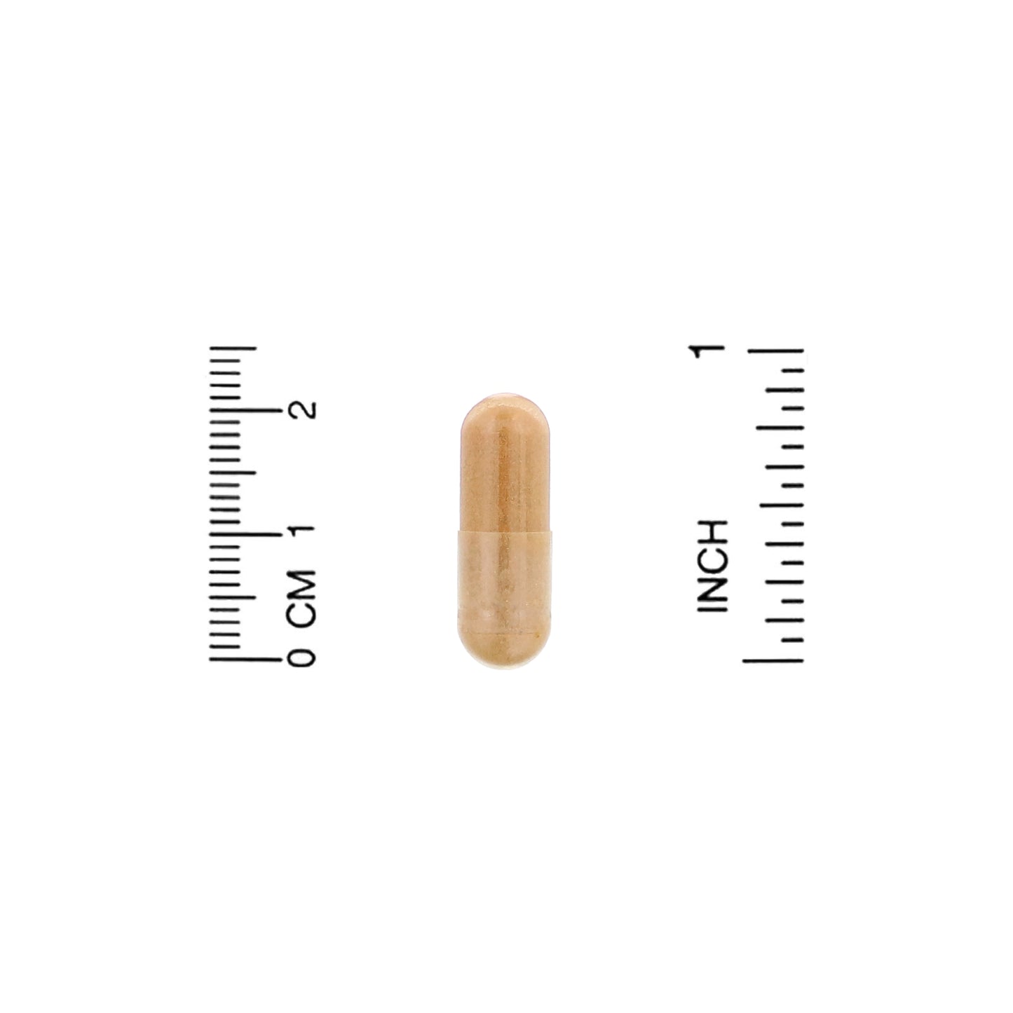 Organic India, Ceylon Cinnamon, 90 Vegetarian Caps (325 mg per Capsule)