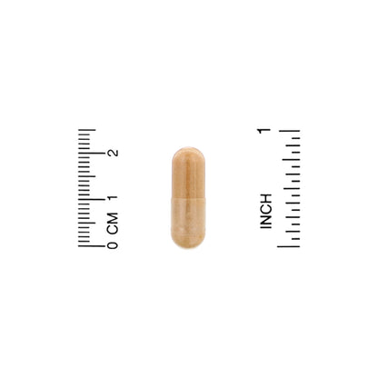 Organic India, Ceylon Cinnamon, 90 Vegetarian Caps (325 mg per Capsule)