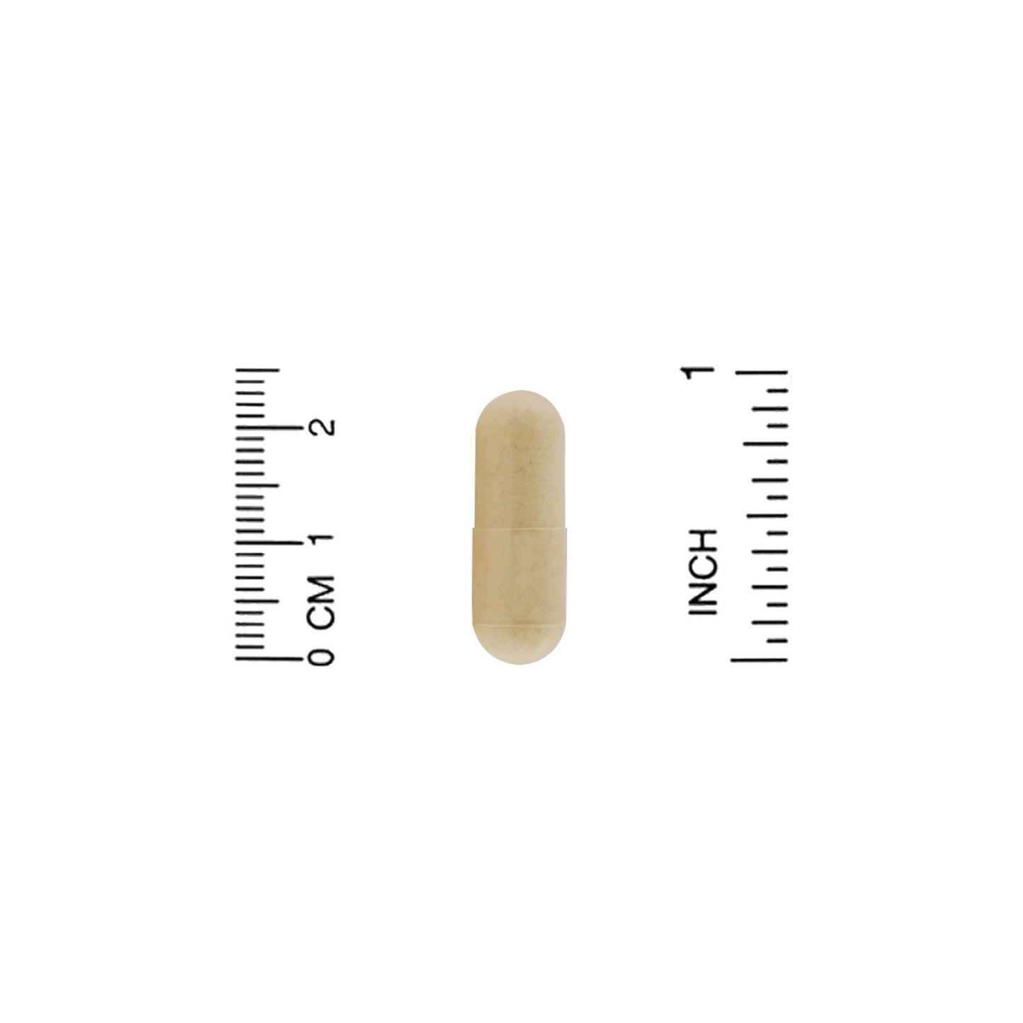 Organic India, Amla, 90 Vegetarian Caps (500 mg per Capsule)