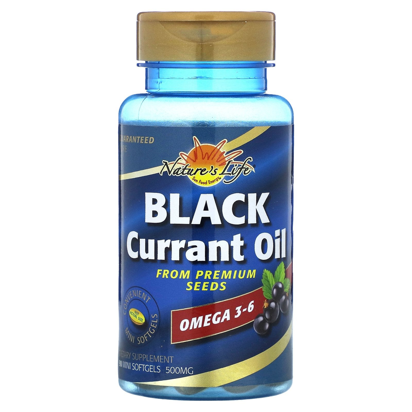 Nature's Life, Black Currant Oil, 500 mg, 90 Mini Softgels