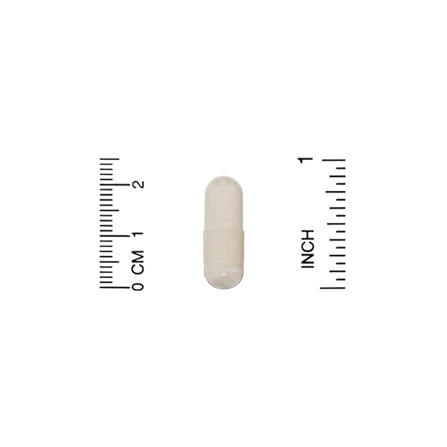 Organic India, Ashwagandha, 180 Vegetarian Caps (400 mg per Capsule)