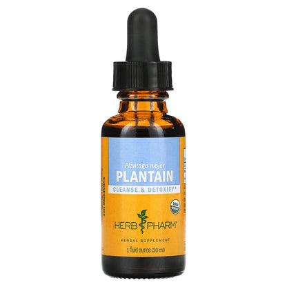 Herb Pharm, Plantain, 650 mg, 1 fl oz (30 ml)