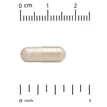 California Gold Nutrition, Akkermansia 30B, 30 Veggie Capsules (150 mg per Capsule)