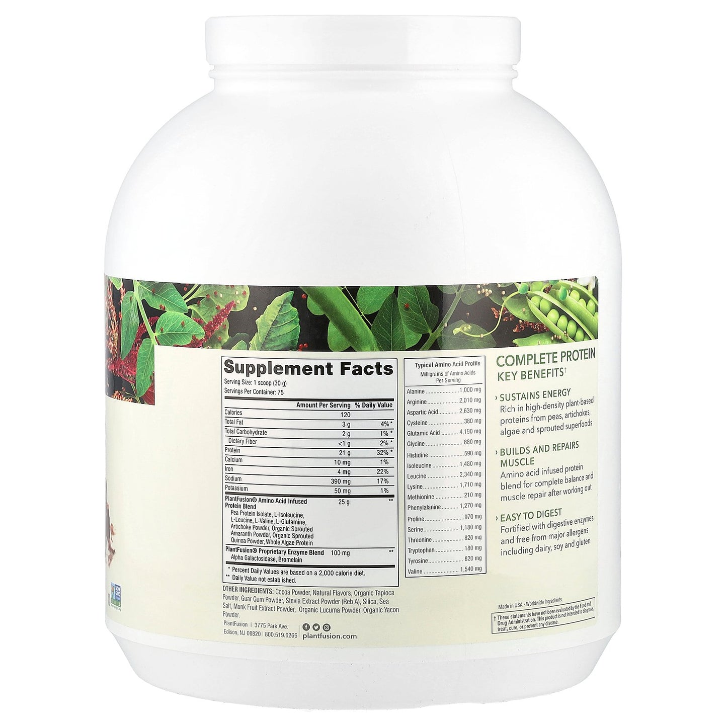 PlantFusion, Complete Protein, Rich Chocolate, 5 lb (2.25 kg)