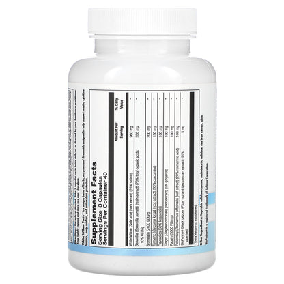 Nutra BioGenesis, White Willow Forte, 120 Capsules