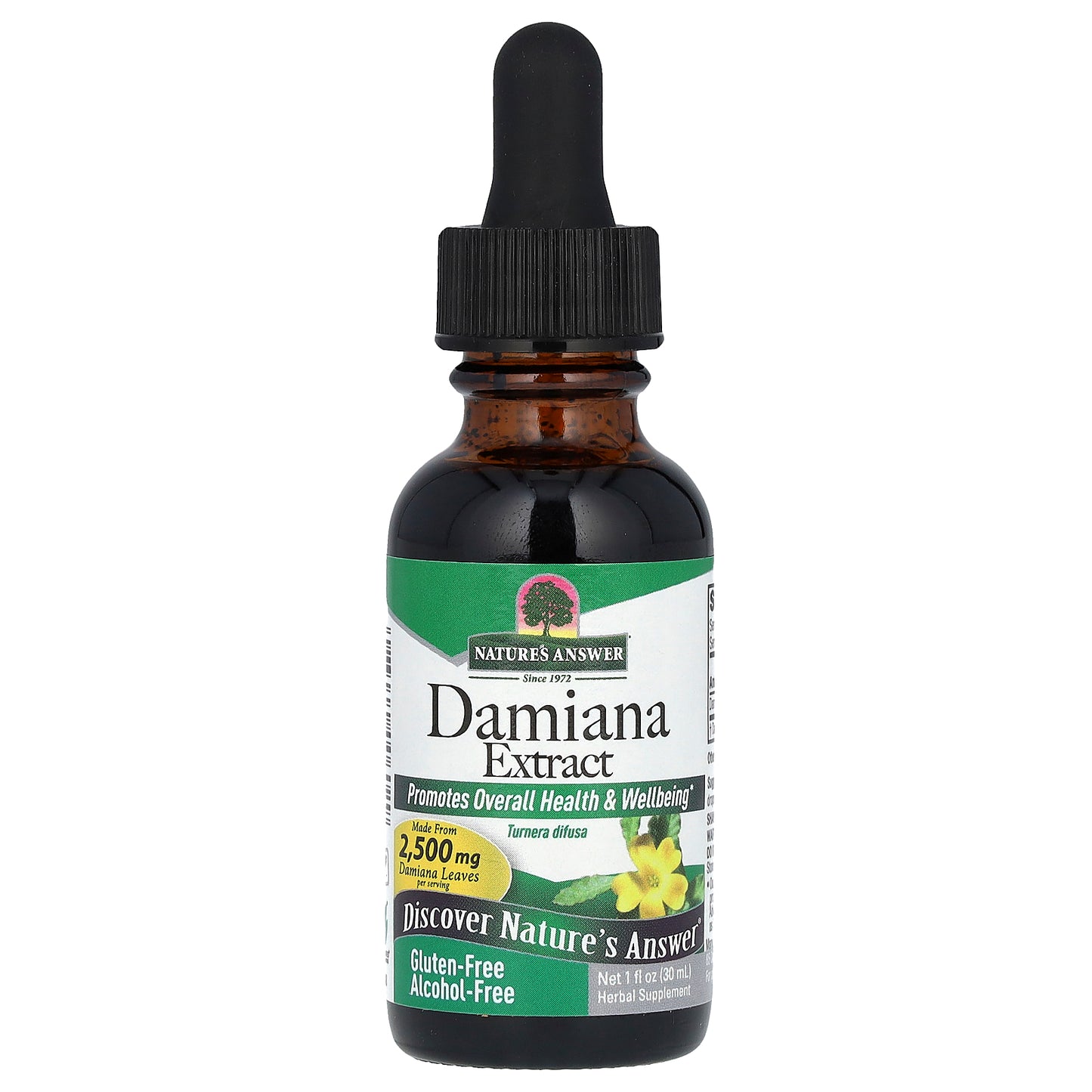 Nature's Answer, Damiana Extract, Alcohol-Free, 2,500 mg, 1 fl oz (30 ml)