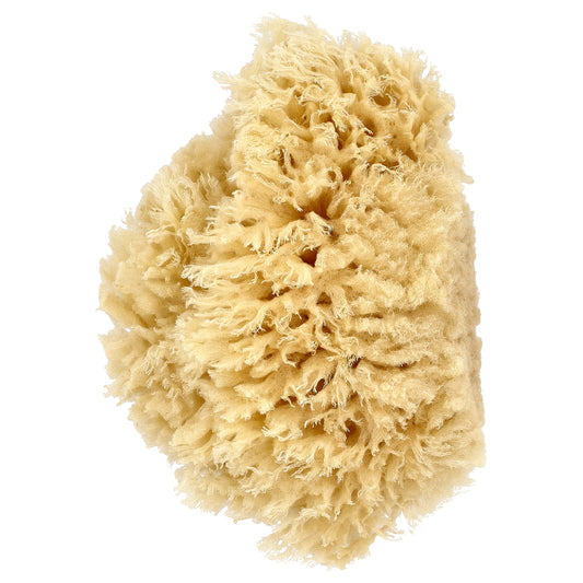 Baby Buddy, Premium Quality Wool Sea Sponge, 1 Sponge