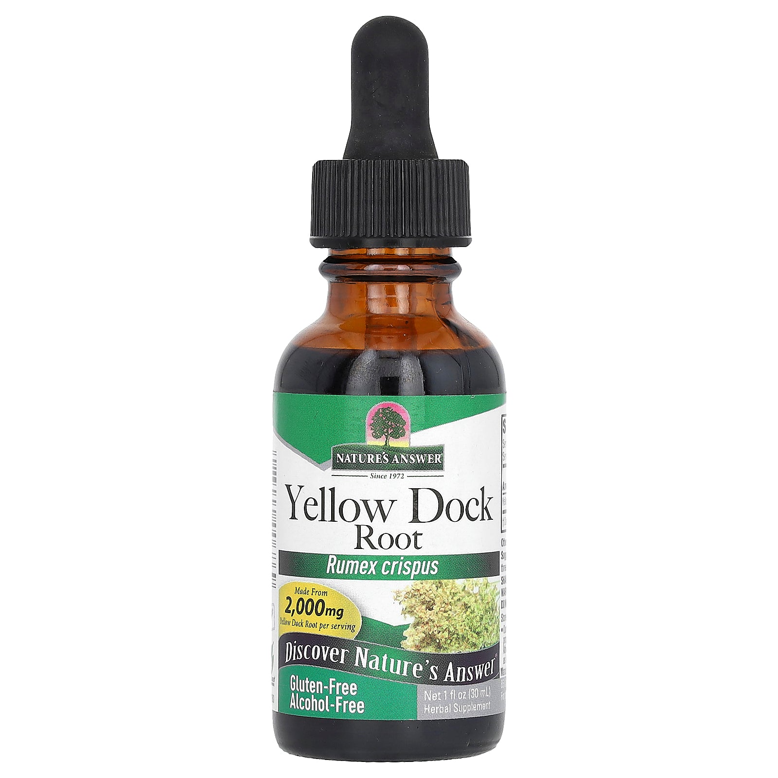 Nature's Answer, Yellow Dock Root, Alcohol-Free, 500 mg, 1 fl oz (30 ml)