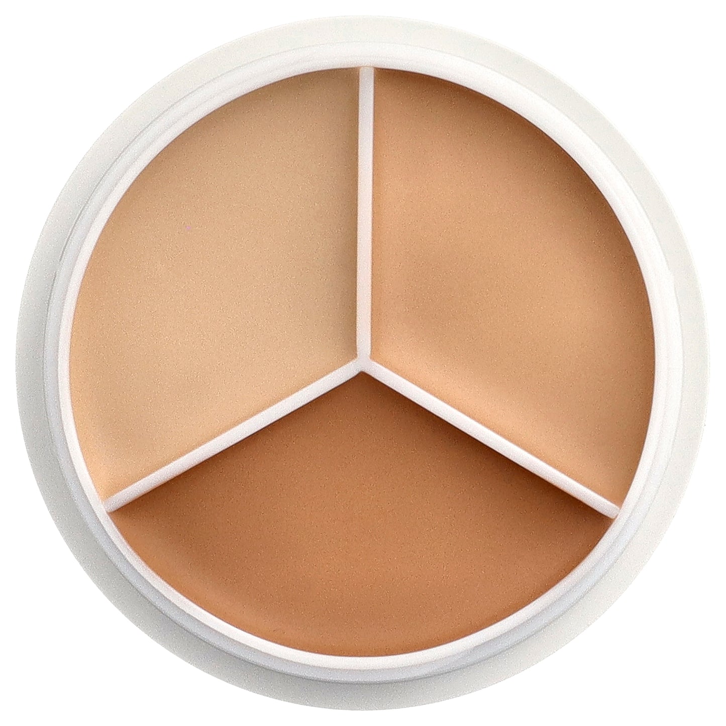 TFIT, Cover Up Pro Concealer, 01 Neutral , 0.52 oz (15 g)