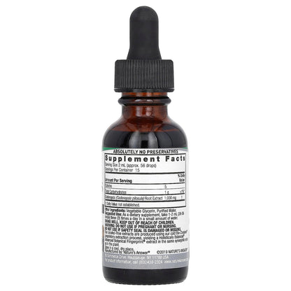 Nature's Answer, Codonopsis Extract, Alcohol-Free, 2,000 mg , 1 fl oz (30 ml)