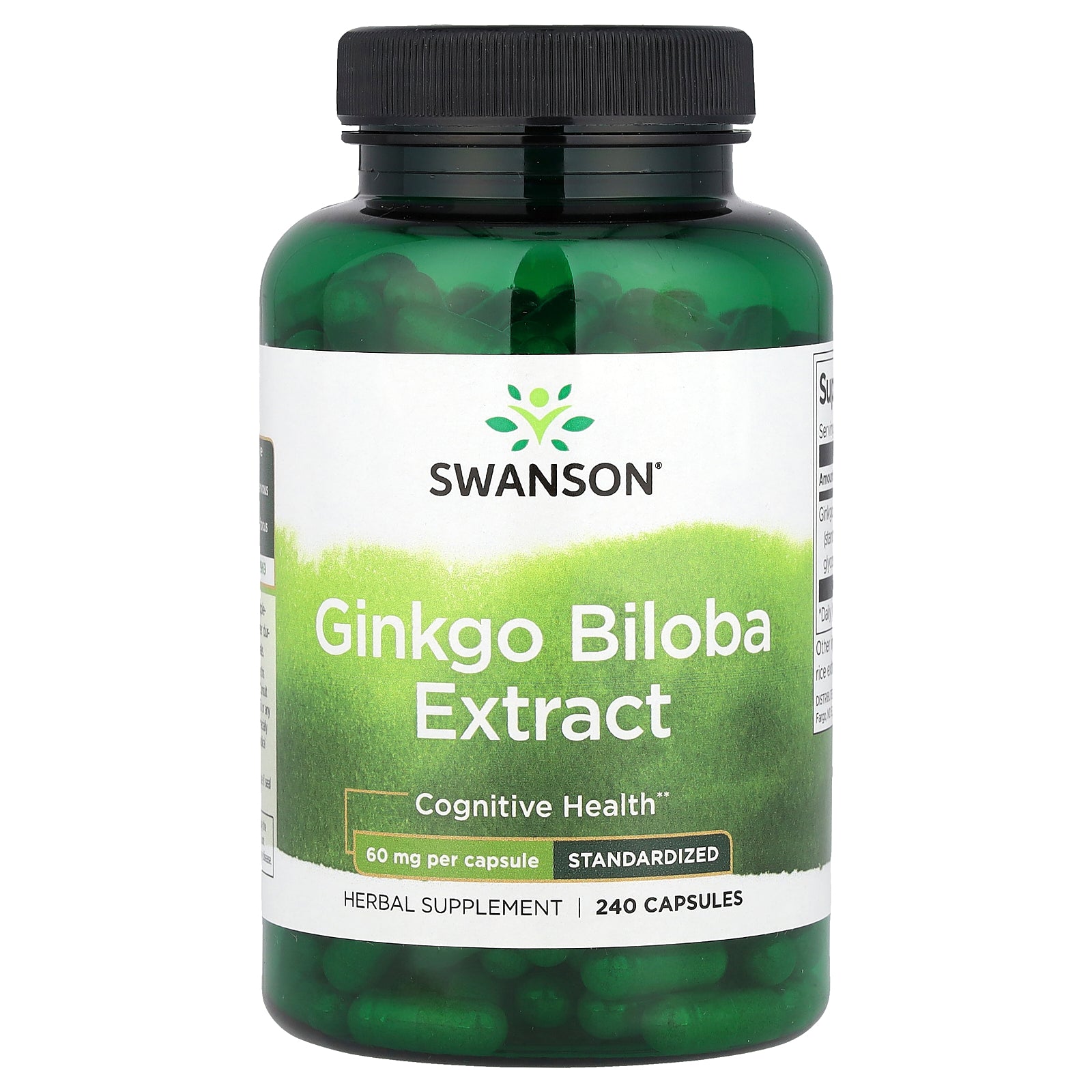 Swanson, Ginkgo Biloba Extract, 60 mg, 240 Capsules
