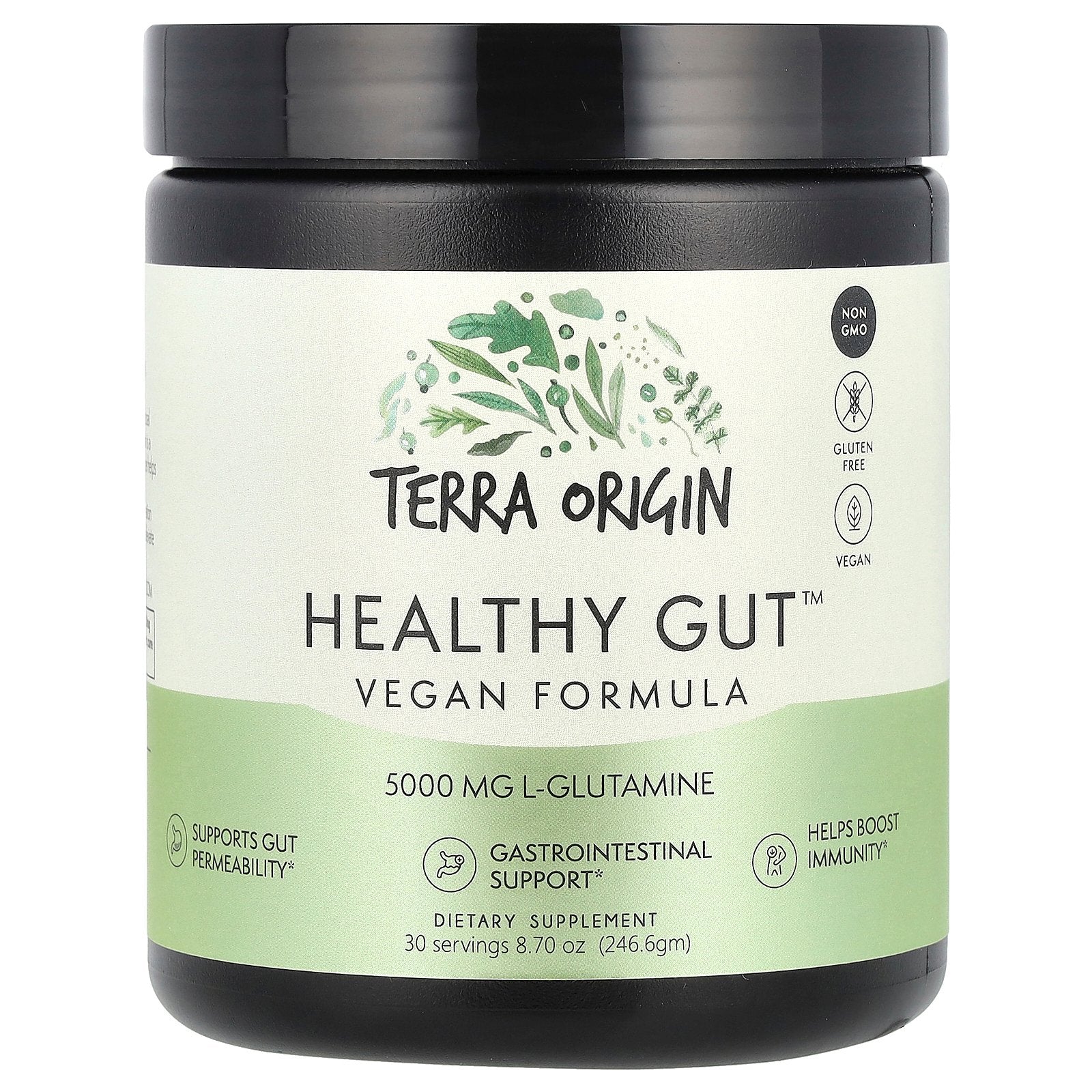 Terra Origin, Healthy Gut™, Vegan Formula, 8.7 oz (246.6 g)