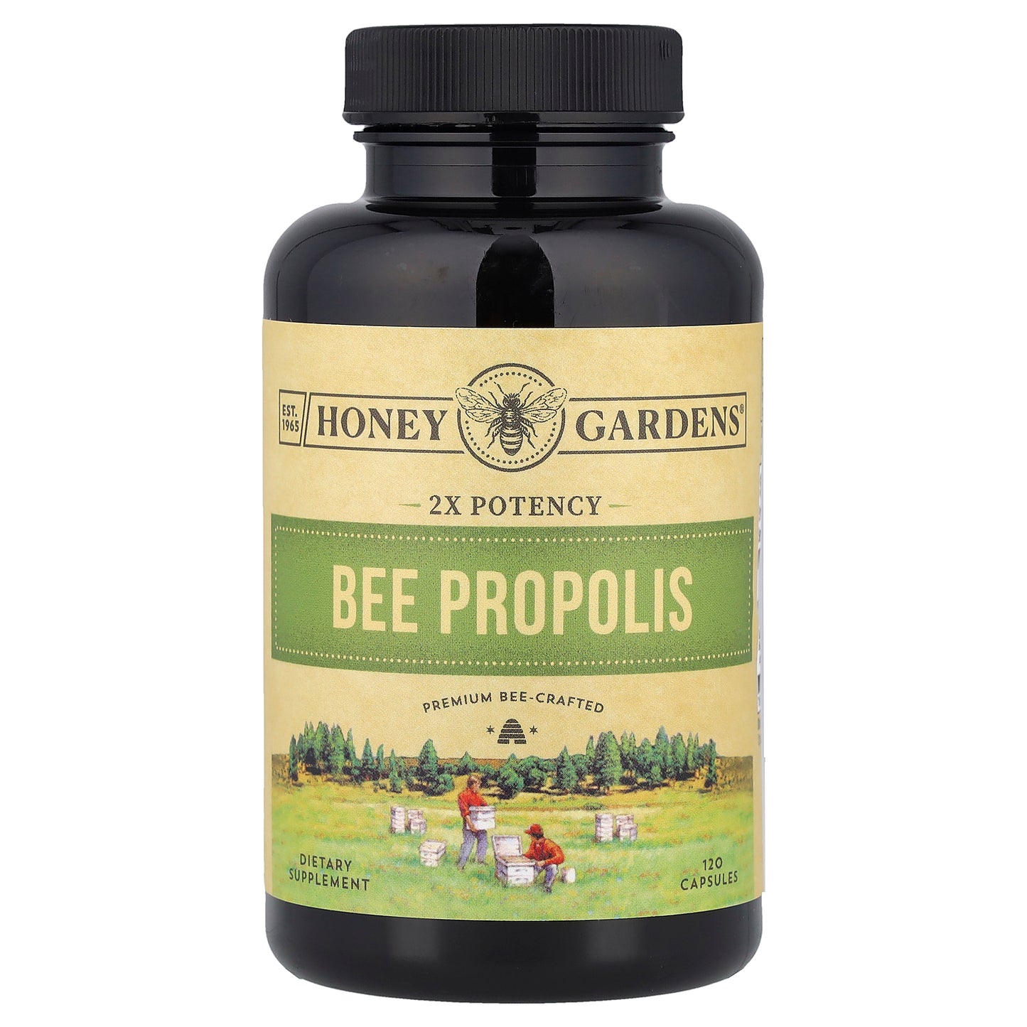 Zand, Bee Propolis, 2X Potency, 120 Capsules (400 mg per Capsule)