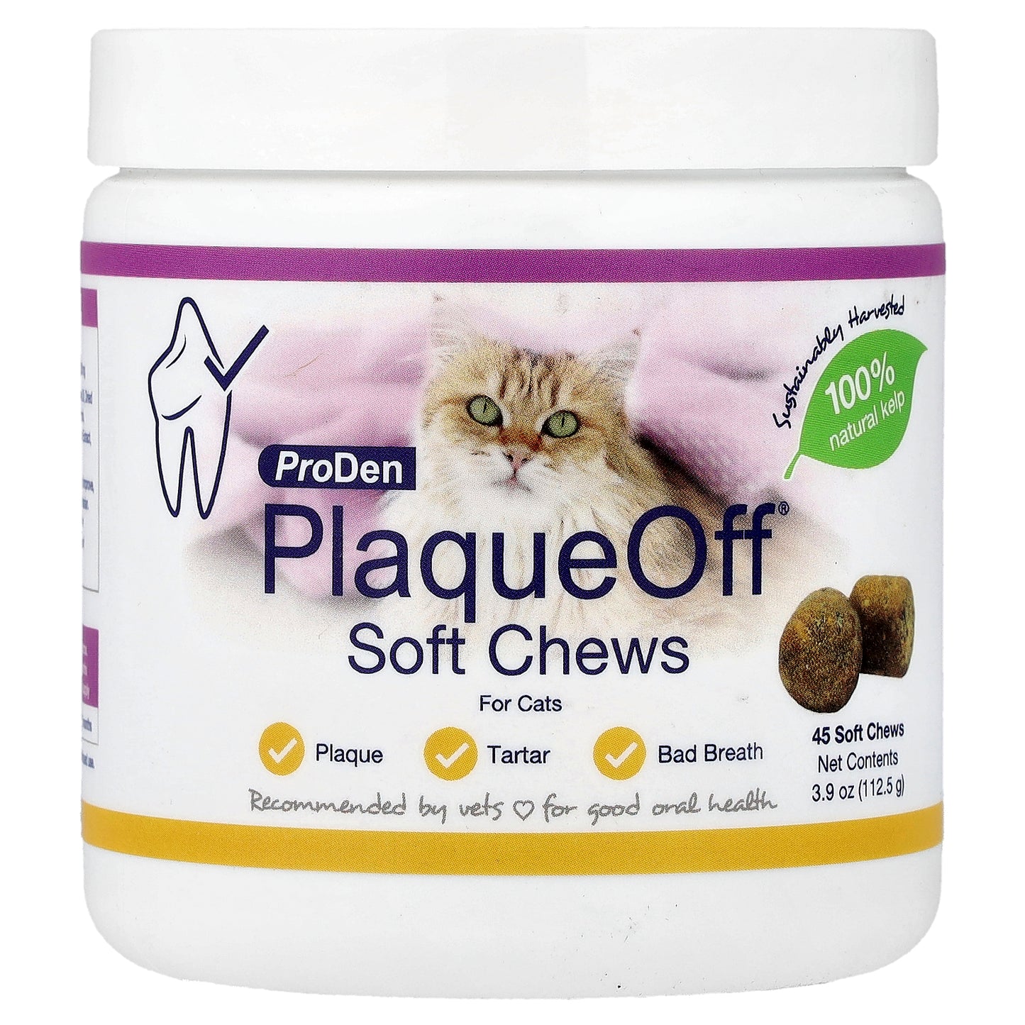 ProDen, PlaqueOff® Soft Chews, For Cats, 45 Soft Chews, 3.9 oz (112.5 g)