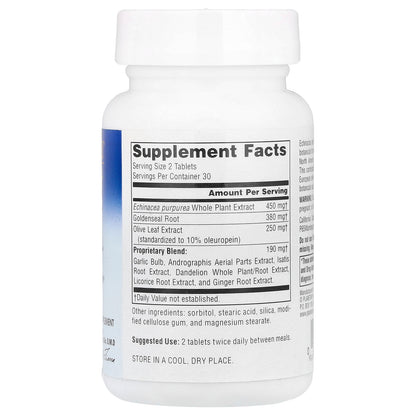Planetary Herbals, Echinacea-Goldenseal with Olive Leaf, 60 Tablets (317 mg per Tablet)