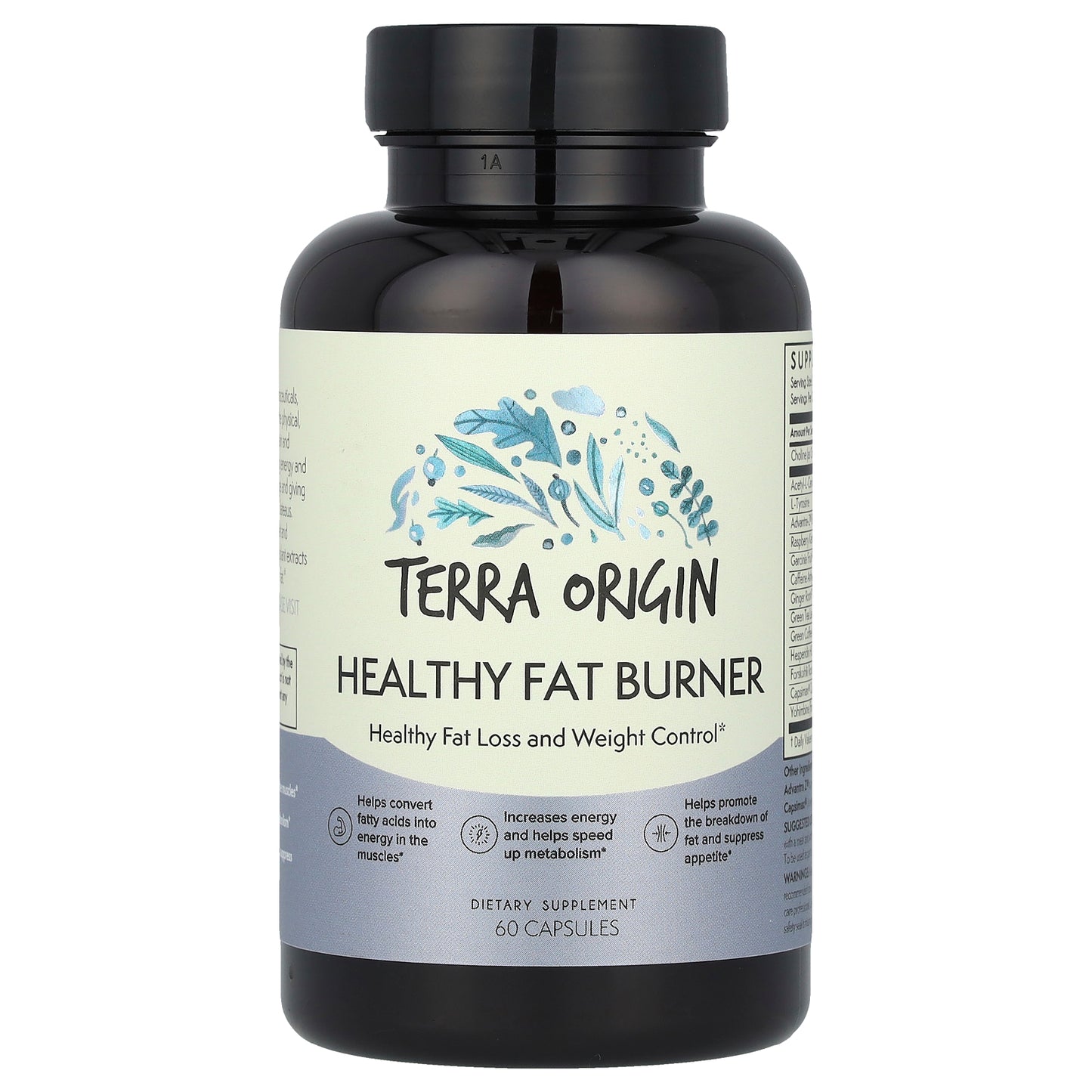 Terra Origin, Healthy Fat Burner, 60 Capsules