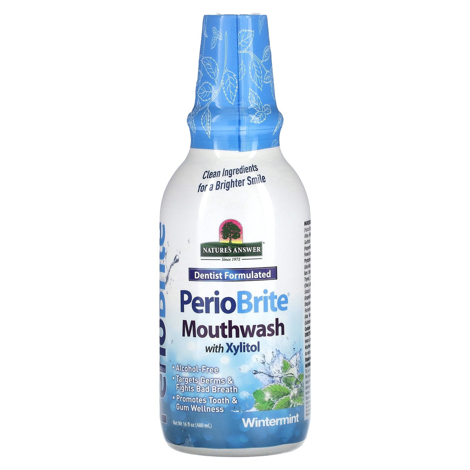 Nature's Answer, PerioBrite, Mouthwash with Xylitol, Wintermint, 16 fl oz (480 ml)