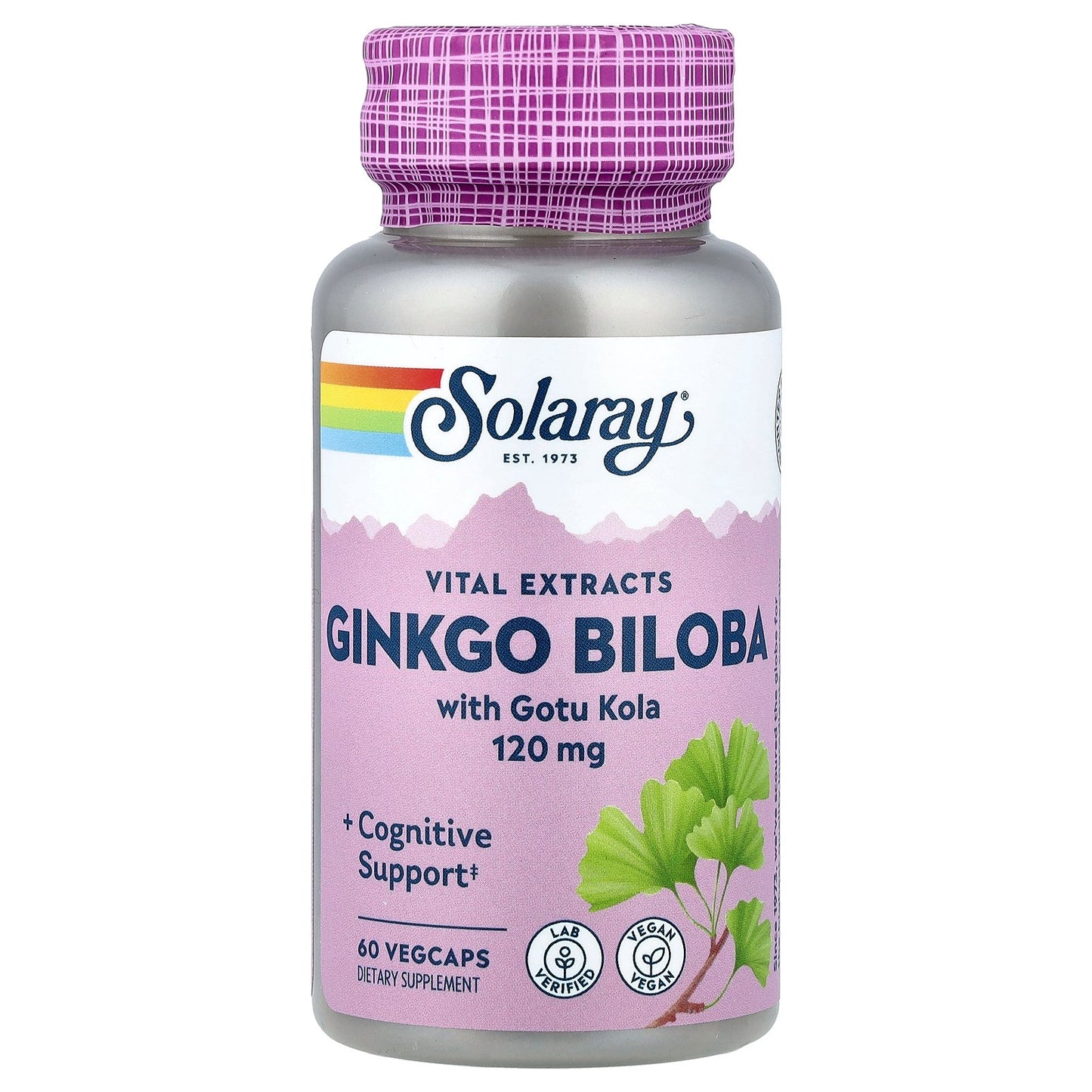 Solaray, Vital Extracts, Ginkgo Biloba With Gotu Kola, 60 VegCaps