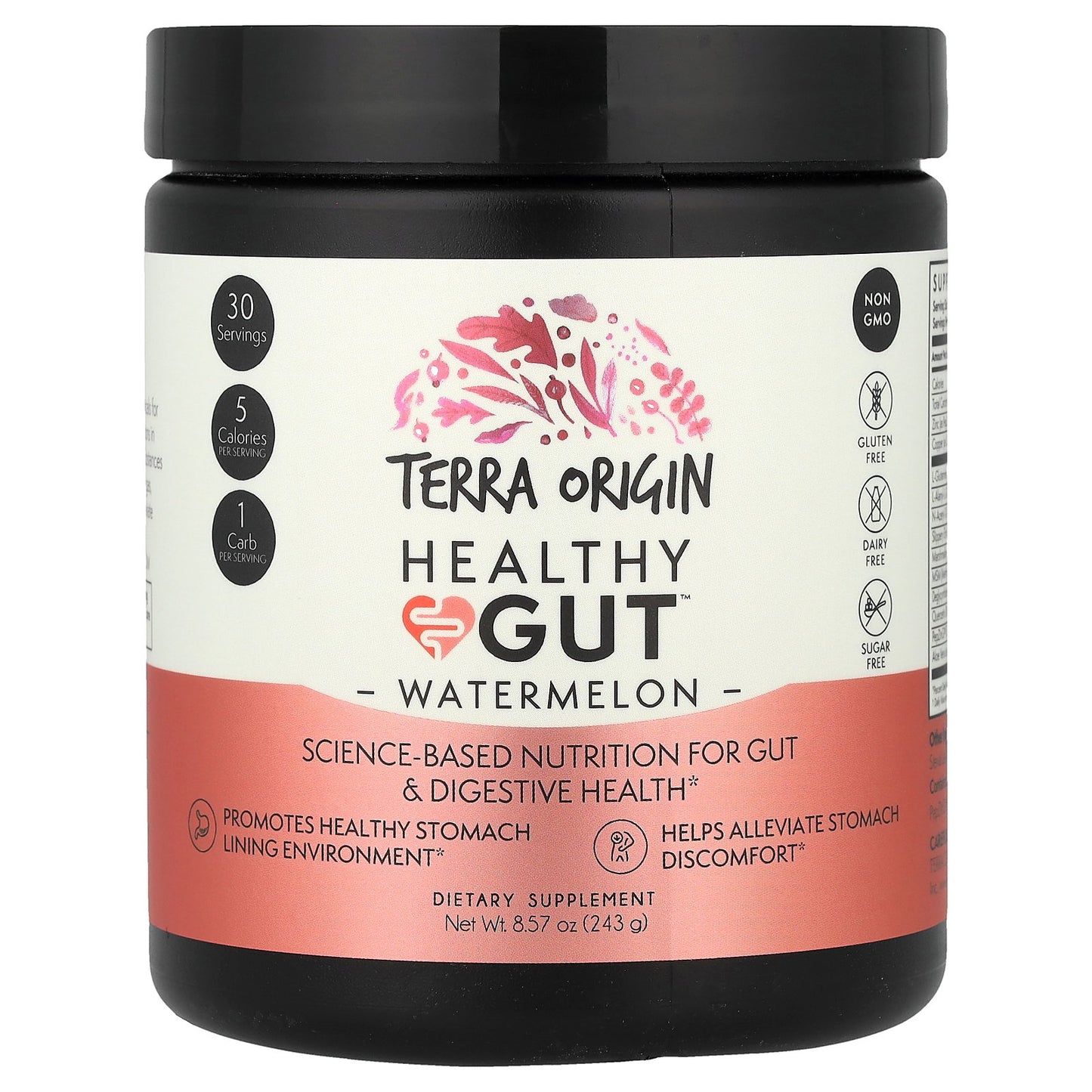 Terra Origin, Healthy Gut™, Watermelon, 8.57 oz (243 g)