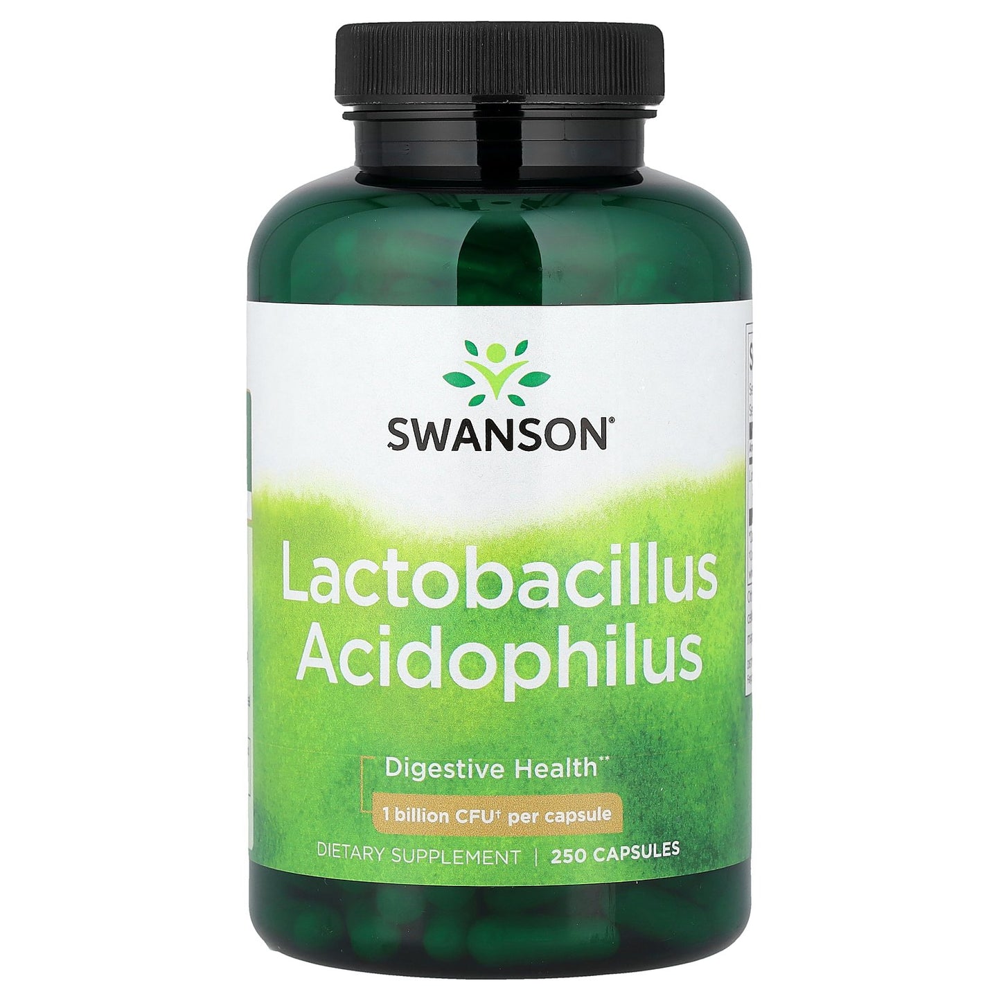 Swanson, Lactobacillus Acidophilus, 1 Billion CFU, 250 Capsules