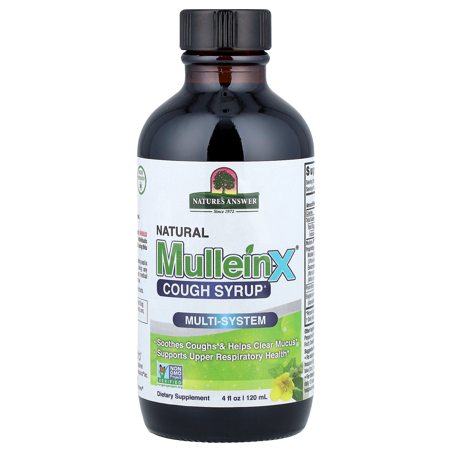 Nature's Answer, Natural Mullen-X Cough Syrup, Multi-System, 4 fl oz (120 ml)